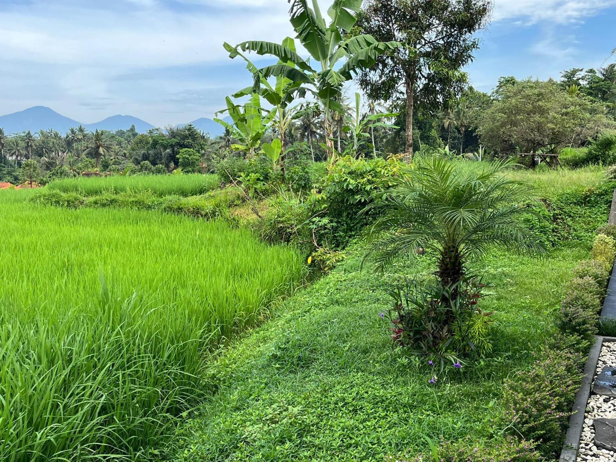 Maple Ridge Ubud Villas Exterior photo