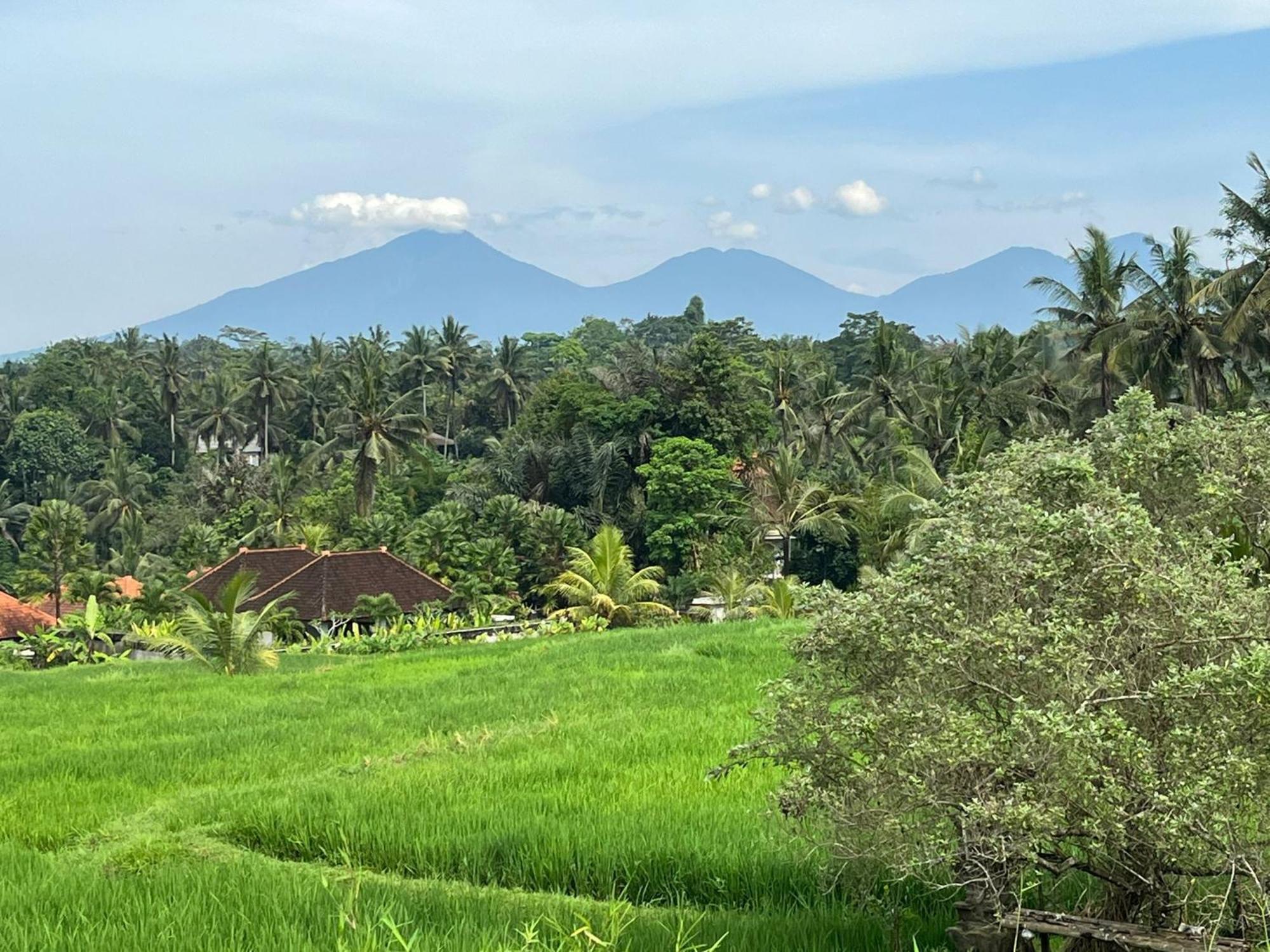 Maple Ridge Ubud Villas Exterior photo